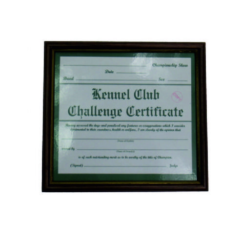 Challenge Certificate Frame